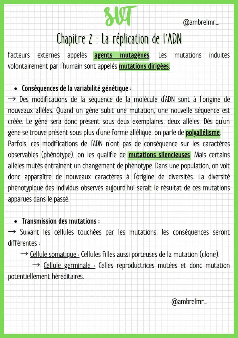 
<h2 id="lemcanismedelarplication">Le Mécanisme de la Réplication</h2>
<p>Lors de la réplication, chaque brin d'ADN sert de modèle à la fabr