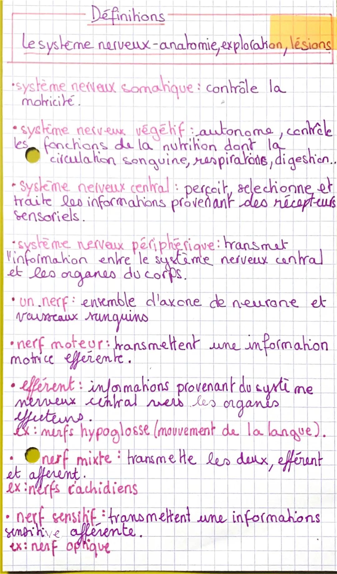 Définitions

Le système nerveux-anatomie, explorakon, lésions

•système nerveux somatique: contrôle la
motricité.
• systime nerveux végétif: