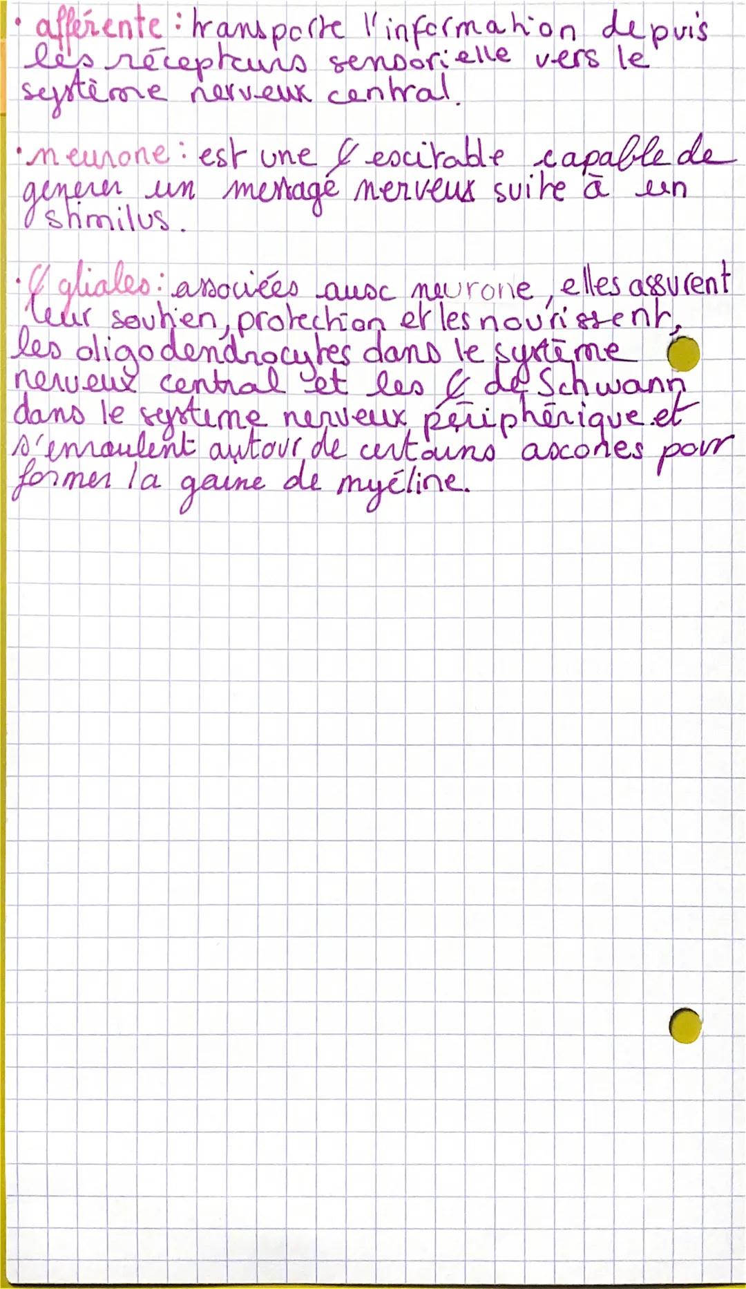 Définitions

Le système nerveux-anatomie, explorakon, lésions

•système nerveux somatique: contrôle la
motricité.
• systime nerveux végétif: