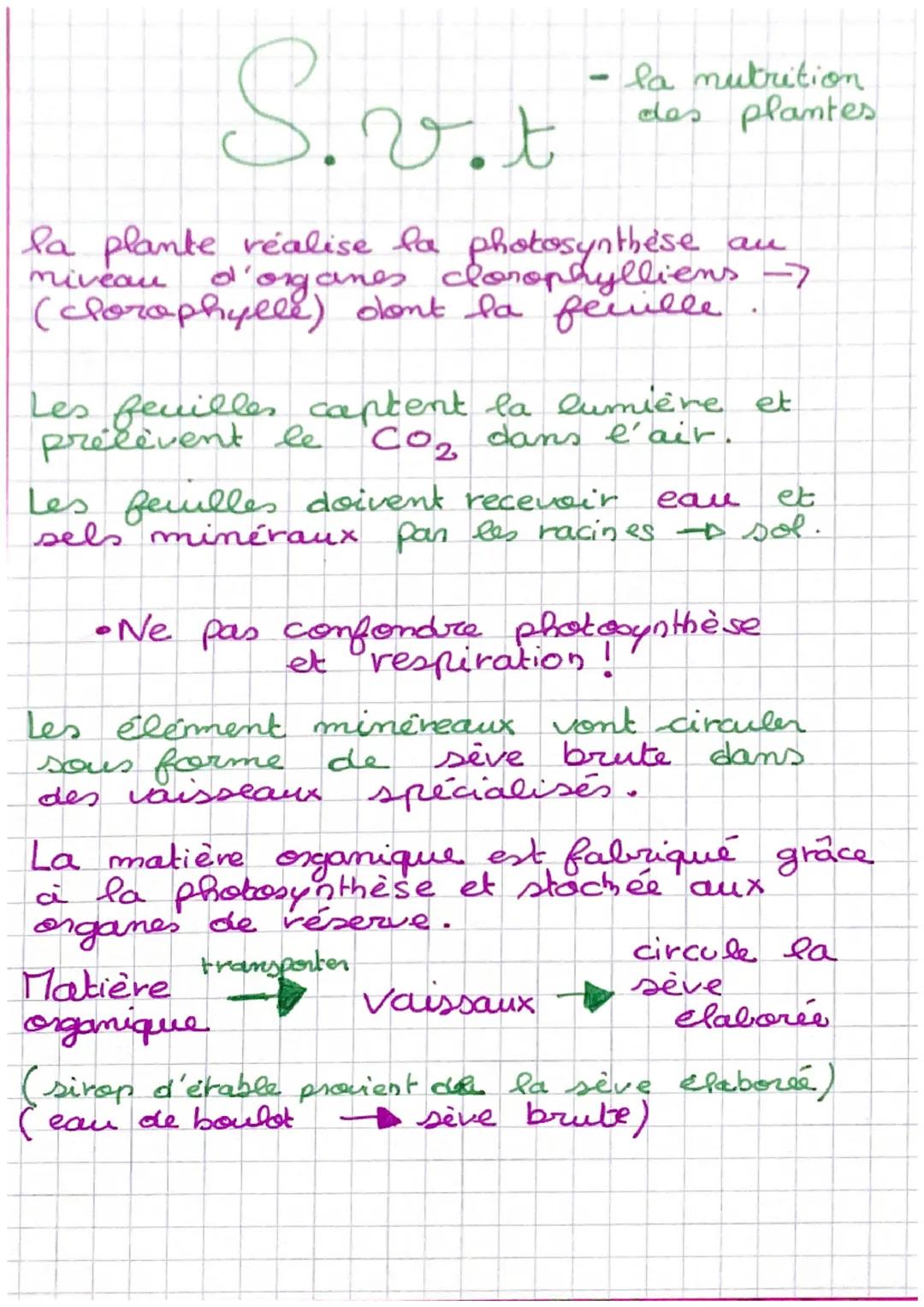 S.vit
- la mutrition
des plantes
d'organes liens?
la plante réalise la
photosynthese
miveau
(clorophylle) dont la feuille
Matière
organique
