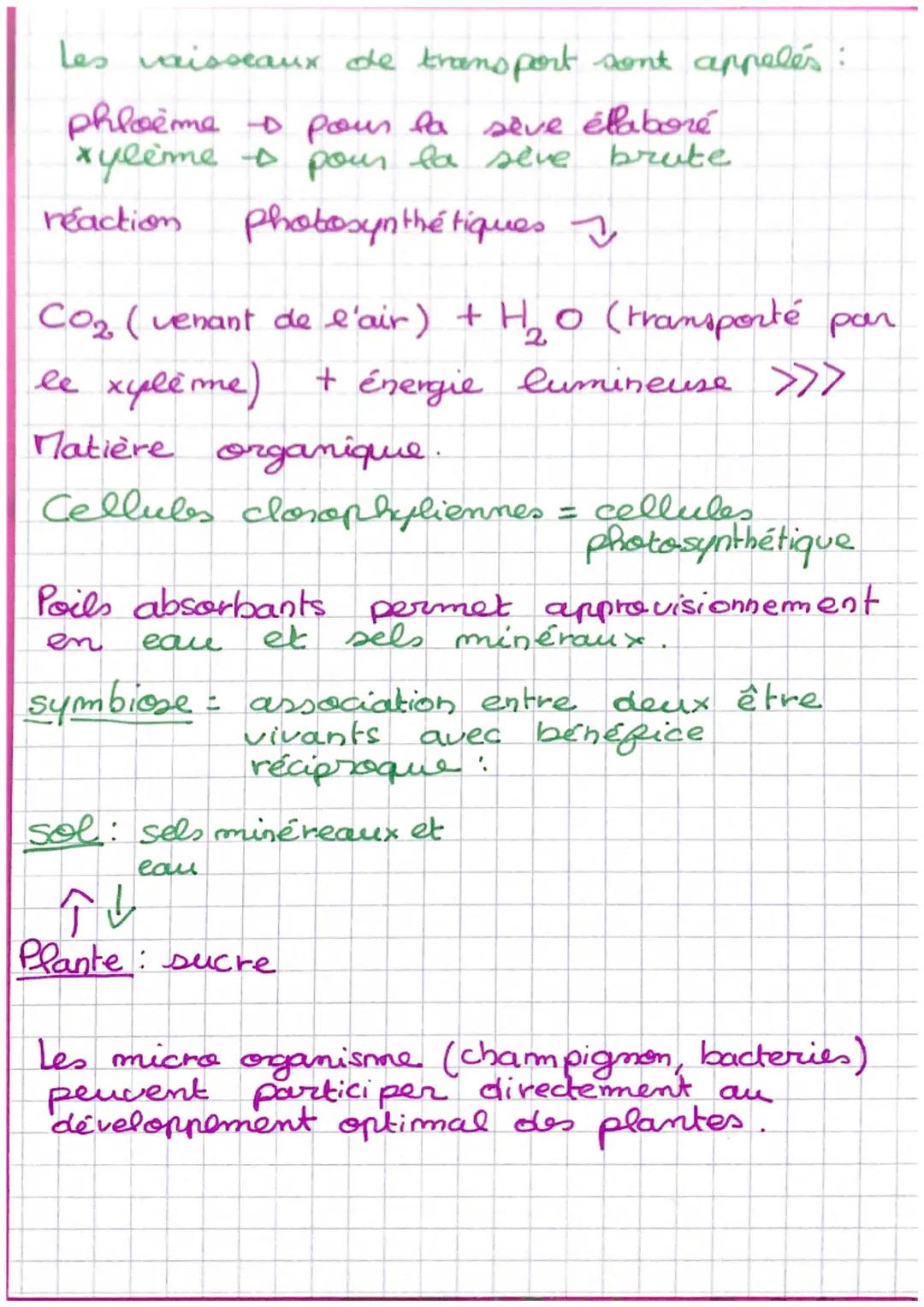 S.vit
- la mutrition
des plantes
d'organes liens?
la plante réalise la
photosynthese
miveau
(clorophylle) dont la feuille
Matière
organique
