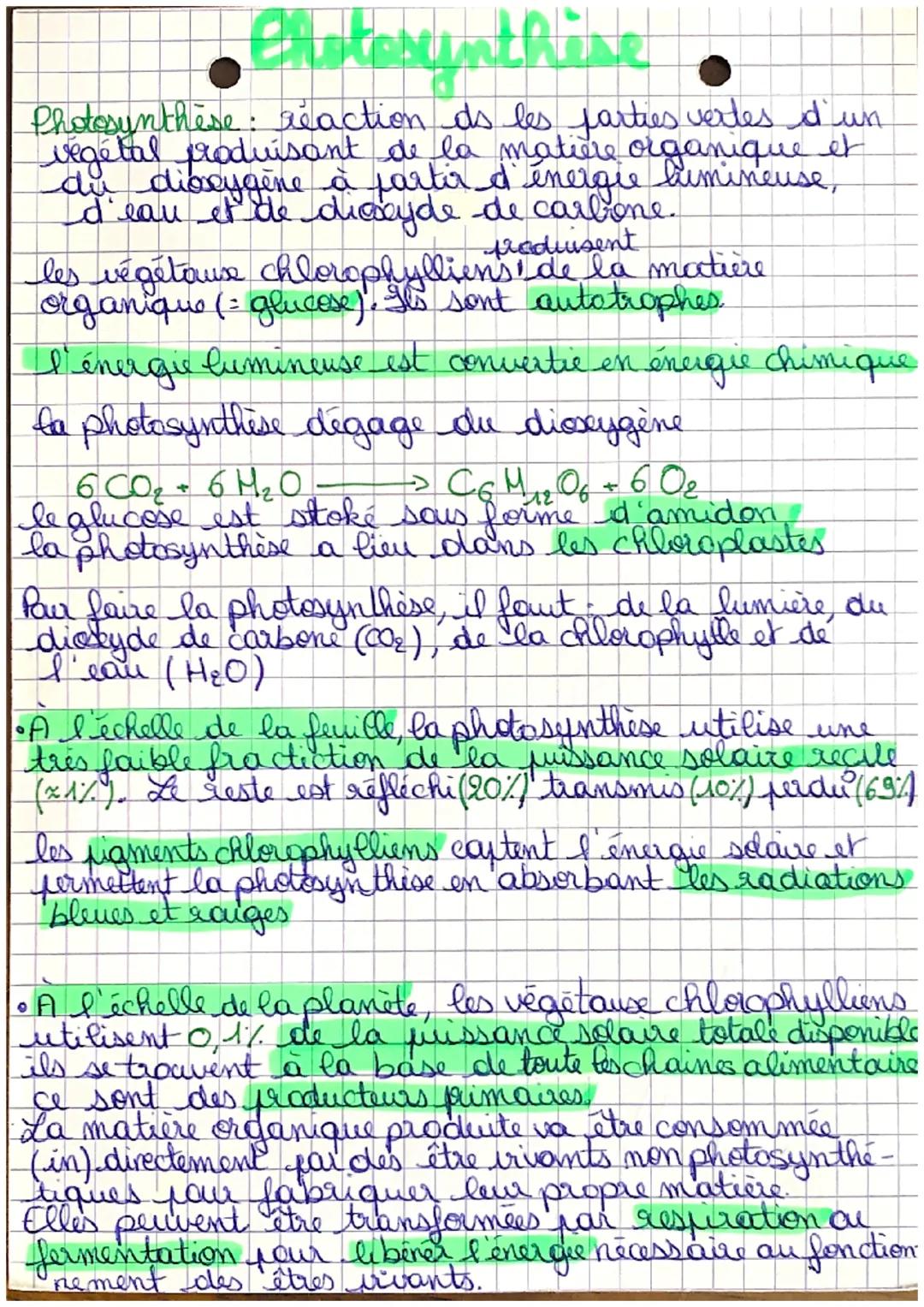 ersteunthine
Photosynthèse: reaction ds les parties vertes d'un
végétal produisant de la matière organique et
du dioxygène à partir d'énergi