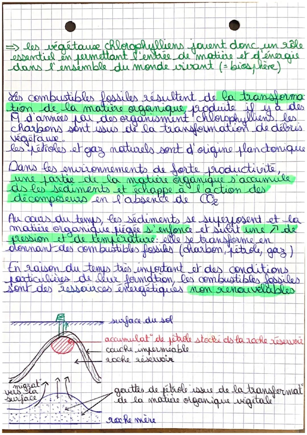 ersteunthine
Photosynthèse: reaction ds les parties vertes d'un
végétal produisant de la matière organique et
du dioxygène à partir d'énergi