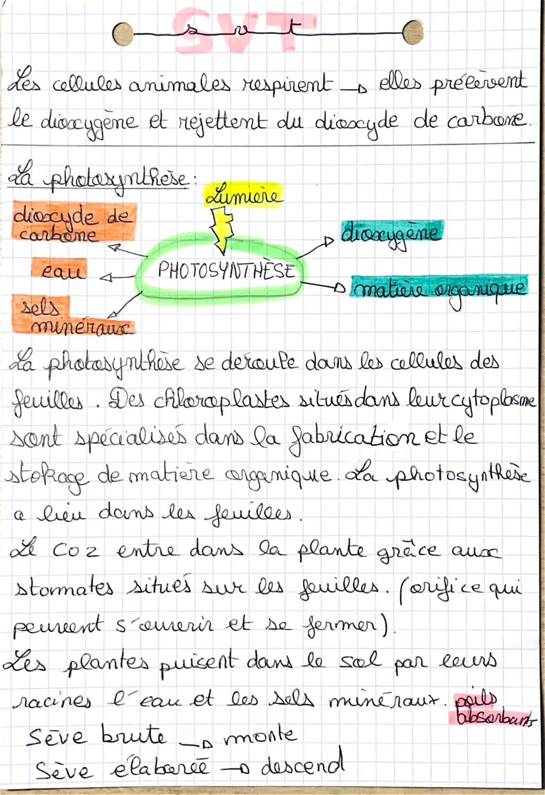 A
لسمه
Les cellules animales respirent. elles prélevent
le dioxygène et rejettent du dioxyde de carbone
La photosynthese:
dioxyde de
carbone