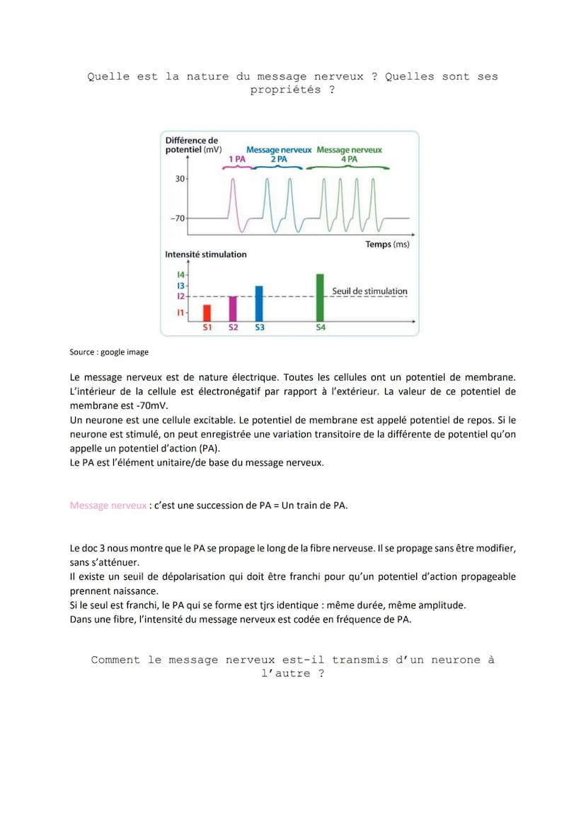 Chapitre 11
LES RÉFLEXES
Comment le système nerveux et les muscles participent-ils à la
réalisation d'un réflexe ?
I. Un exemple de réflexes