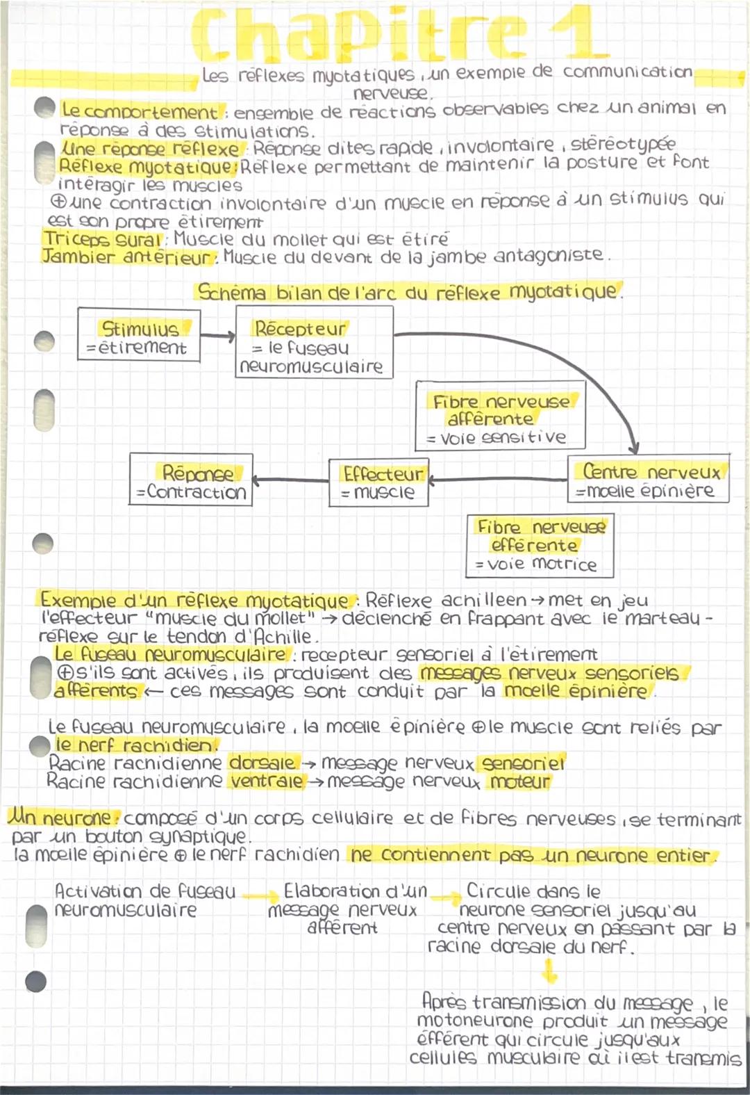 Chapitre 1
Les reflexes myotatiques, un exemple de communication
nerveuse.
Le comportement: ensemble de réactions observables chez un animal