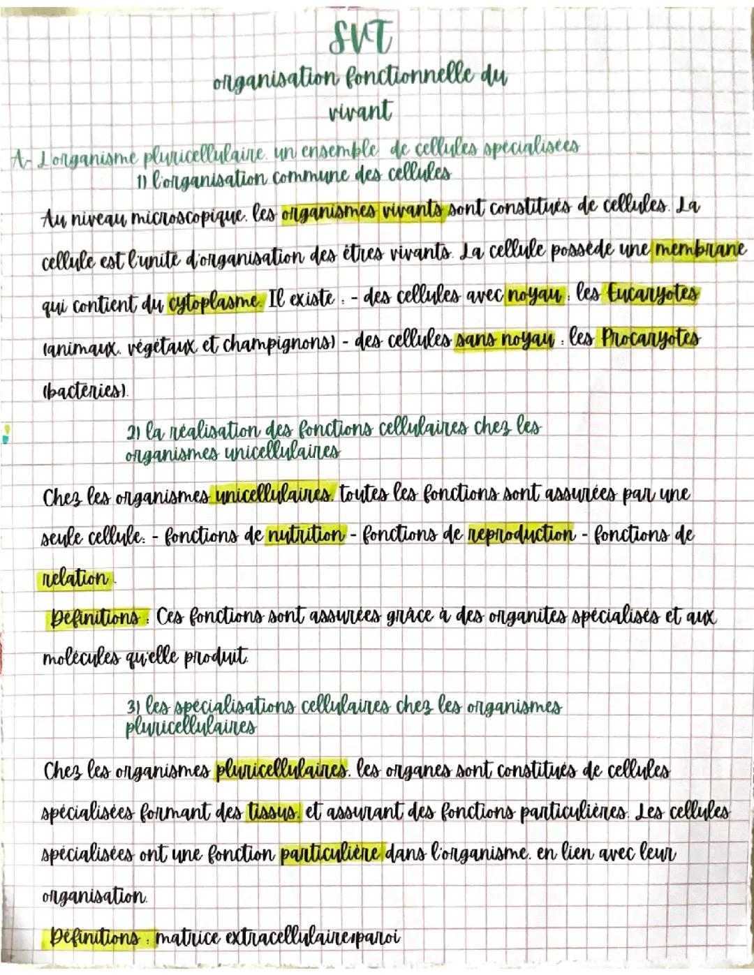 svt organisation fonctionnelle du vivant