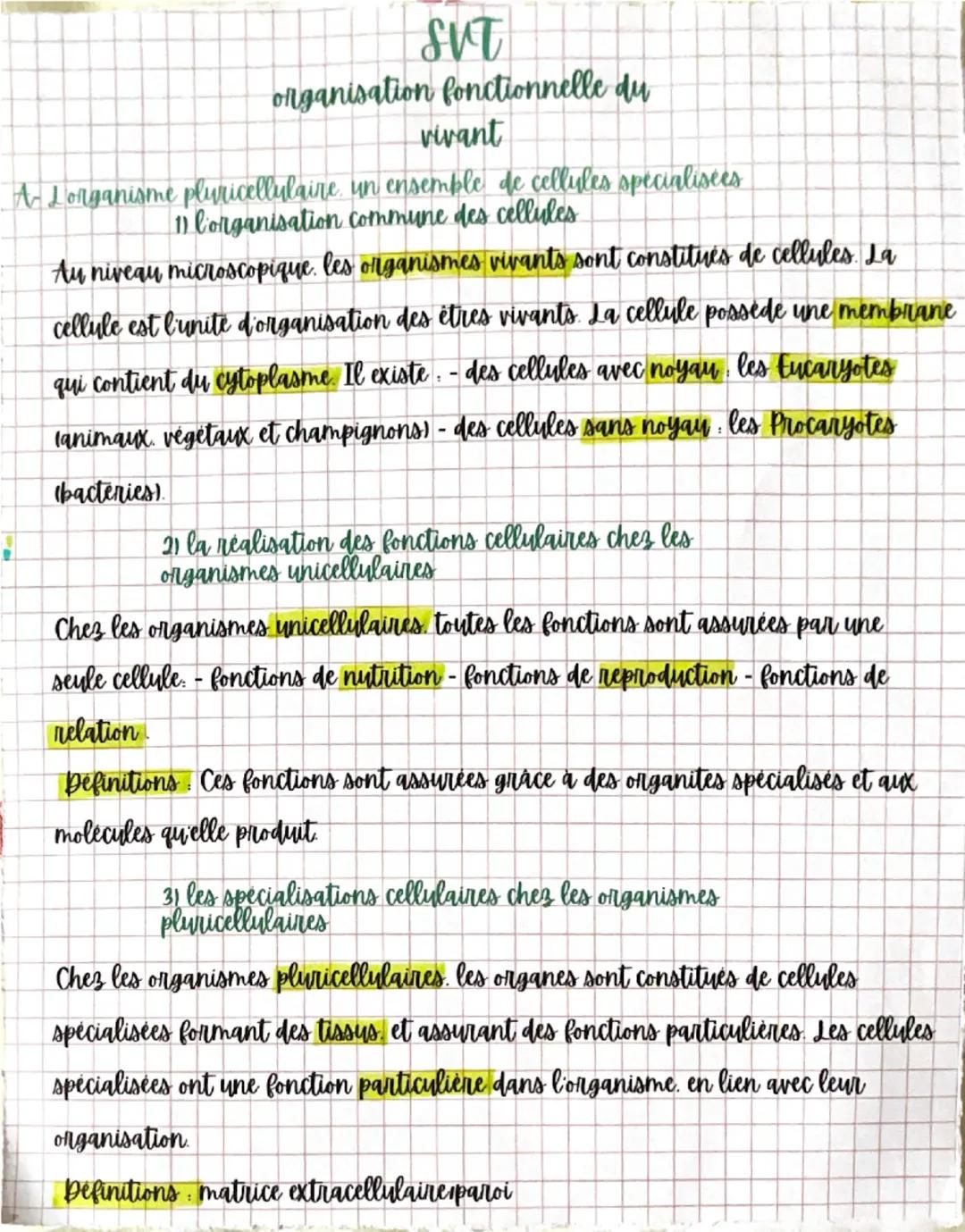 SVT
organisation fonctionnelle du
vivant
A Lorganisme pluricellulaire un ensemble de cellules spécialisées
11 Corganisation commune des cell
