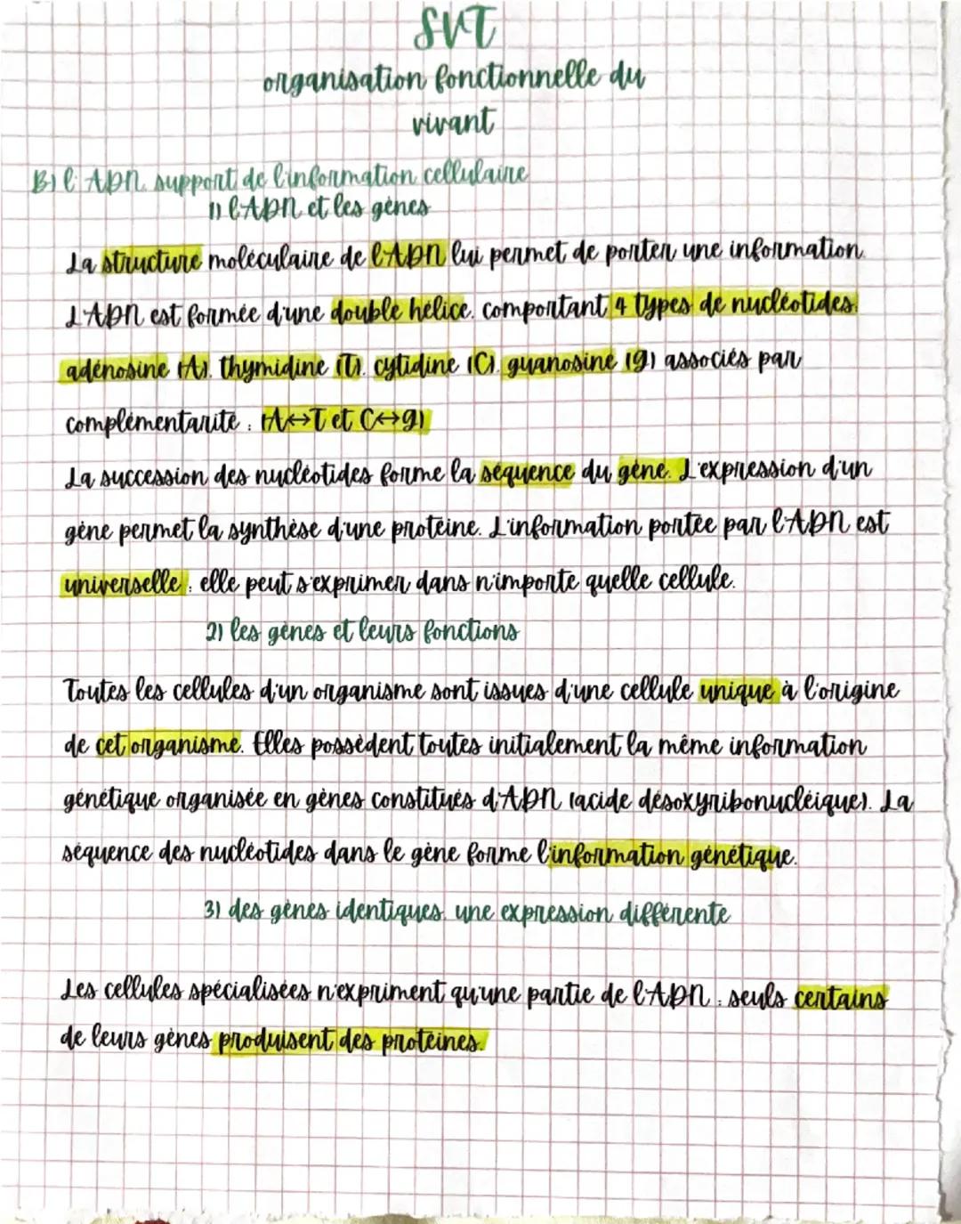 SVT
organisation fonctionnelle du
vivant
A Lorganisme pluricellulaire un ensemble de cellules spécialisées
11 Corganisation commune des cell