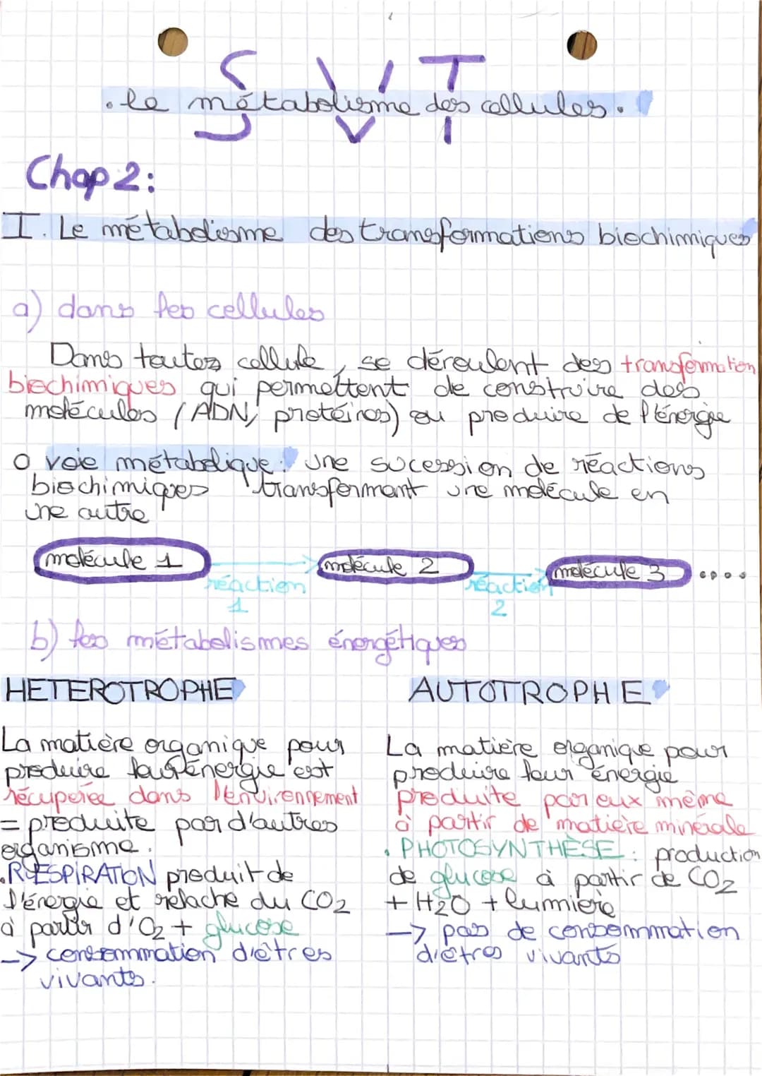 6
IT
le métabolisme des cellules
metabolisme
1
Chap 2:
I. Le métabolisme des transformations biochimiques
a) dans les cellules
Dans toutes c