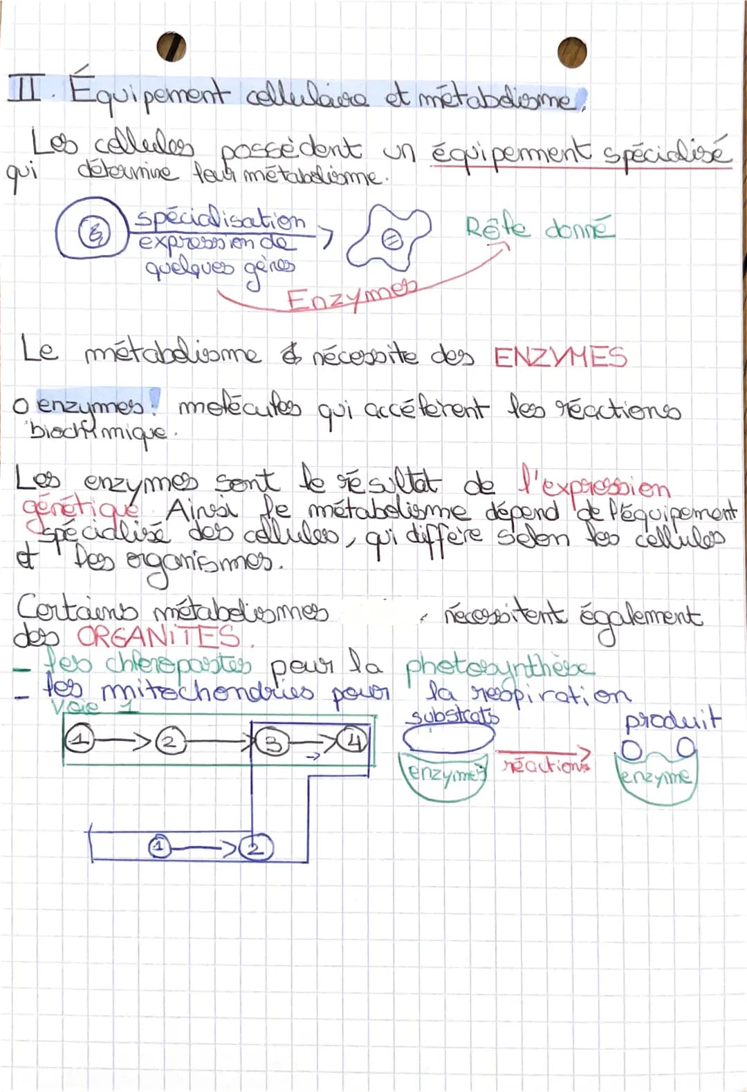 6
IT
le métabolisme des cellules
metabolisme
1
Chap 2:
I. Le métabolisme des transformations biochimiques
a) dans les cellules
Dans toutes c