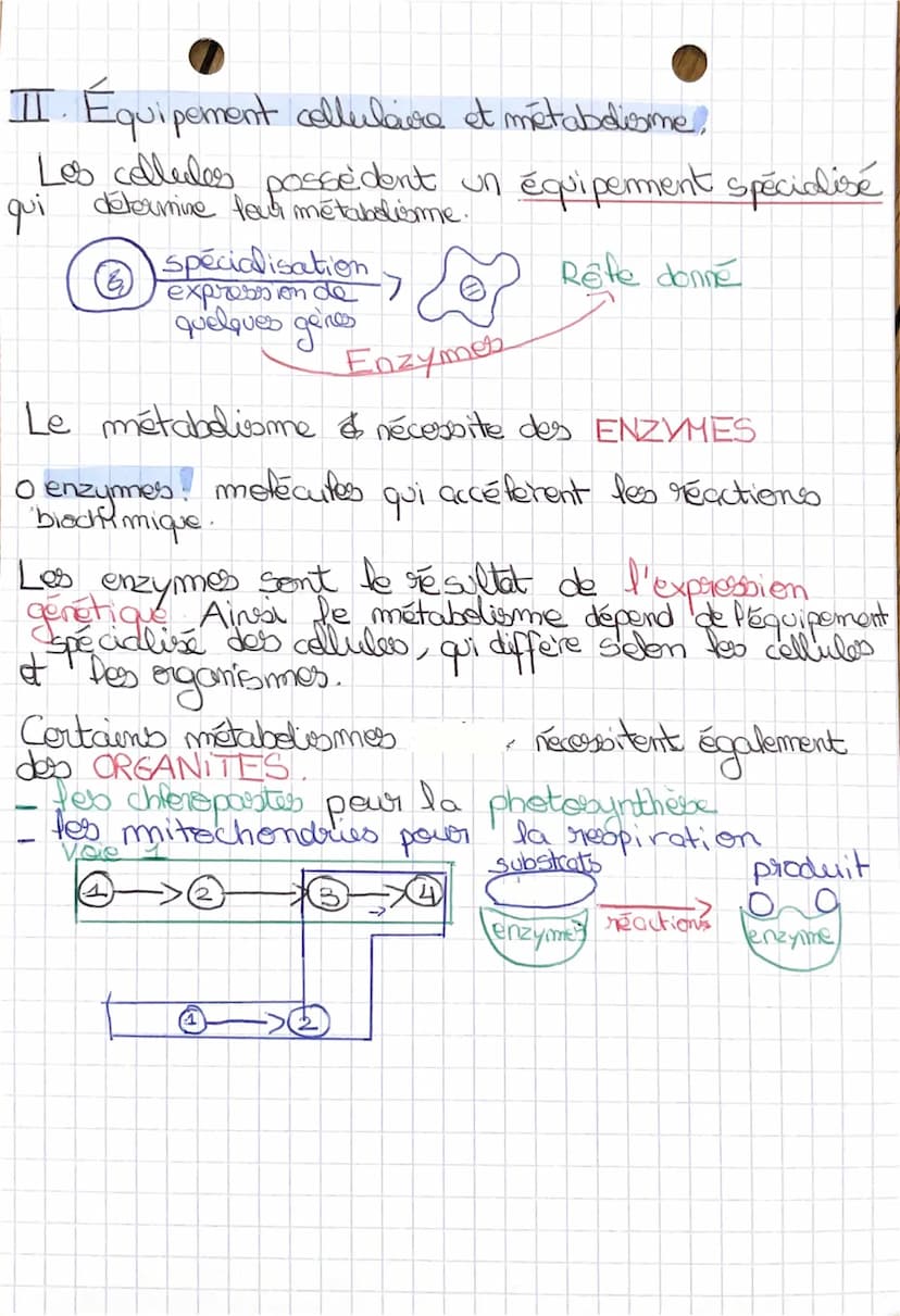 6
IT
le métabolisme des cellules
metabolisme
1
Chap 2:
I. Le métabolisme des transformations biochimiques
a) dans les cellules
Dans toutes c