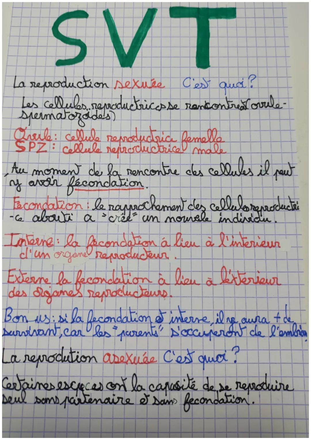 SVT

La reproduction sexuée C'est qui?

Les cellules reproductricesse rencontrealovule-
spermatozade's)

Everb: cellule reproductrice femell