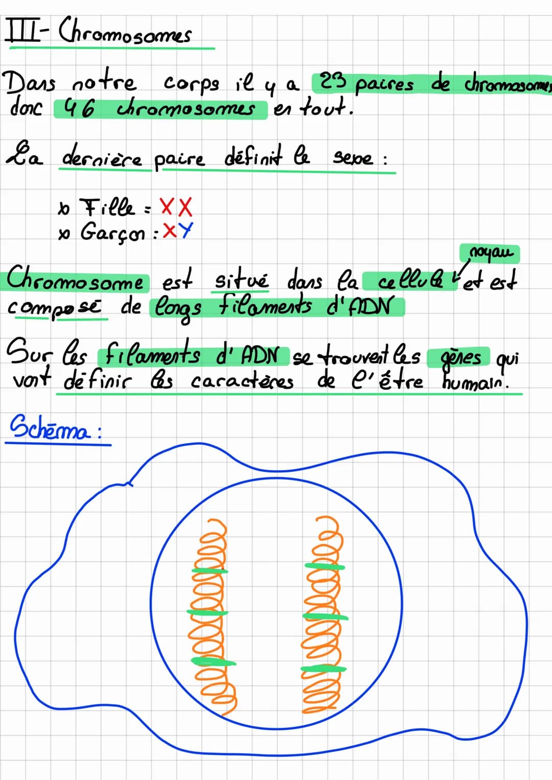 SVT
La génétique
I-es variations et l'hérédité
Nov 3e
Chaque être humain à les mêmes caractères,
bouche, mains, 4 membres...), mais il en ex