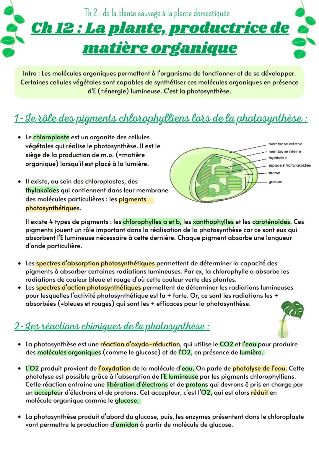 Th 2: de la plante sauvage à la plante domestiquée
Ch 12: La plante, productrice de
matière organique
Intro : Les molécules organiques perme