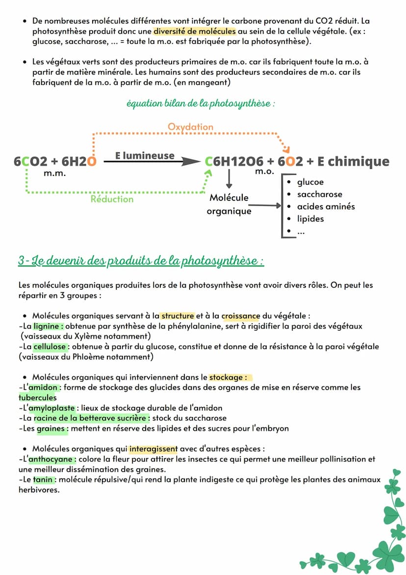 Th 2: de la plante sauvage à la plante domestiquée
Ch 12: La plante, productrice de
matière organique
Intro : Les molécules organiques perme