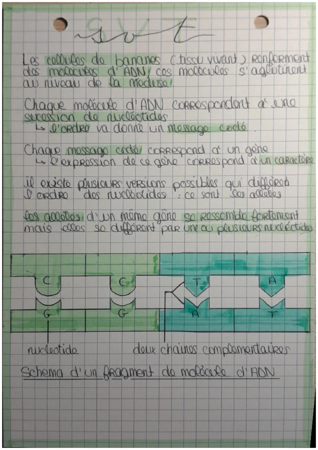 • t
لسعد
CHAPITRE
INRODUCTION
Si los colluces parviennent a' a equeRUR DOUR
specialisation, c'est que louR gêne s'exprime
pour apporter une 