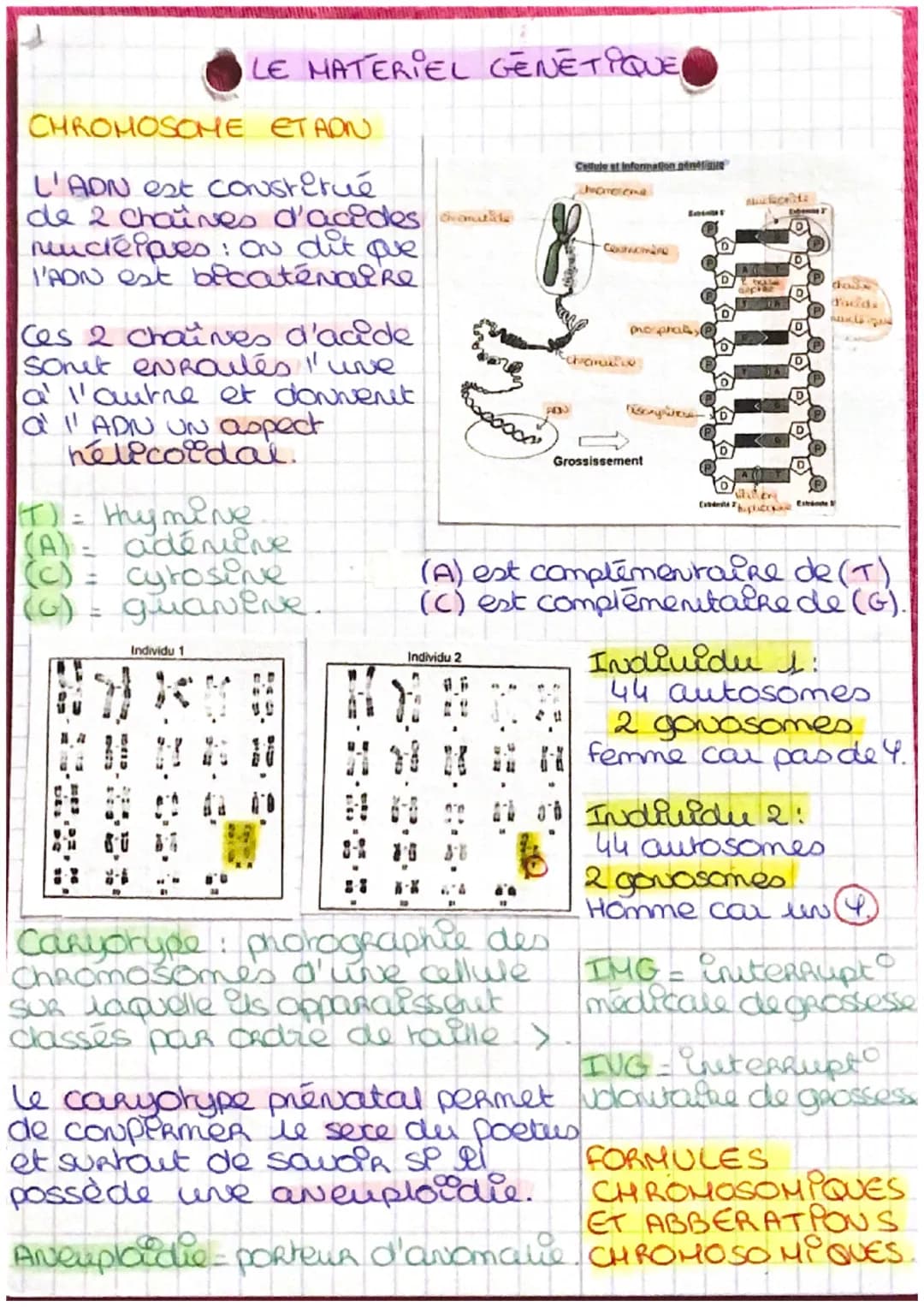 CHROMOSOME ETAON
L'ADN est constitué
de 2 Chaines d'acides venatide
nucléiques: On dit que
l'ADN est becaténaire
LE MATERIEL GENETIQUE
1
Ces