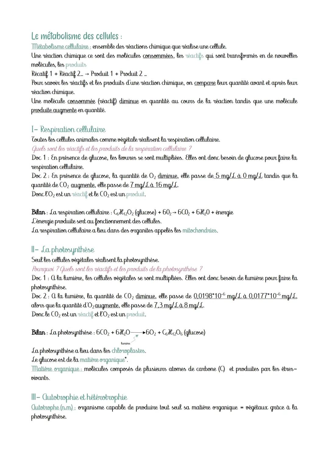 Le métabolisme des cellules