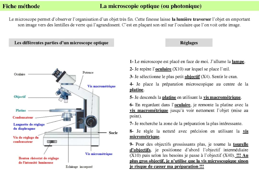 Méthode pour utiliser correctement un microscope 
