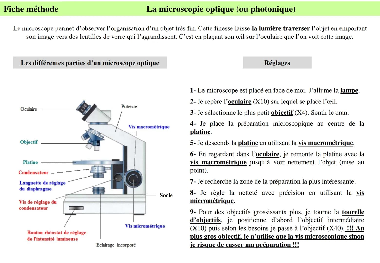 Fiche méthode
La microscopie optique (ou photonique)
Le microscope permet d'observer l'organisation d'un objet très fin. Cette finesse laiss