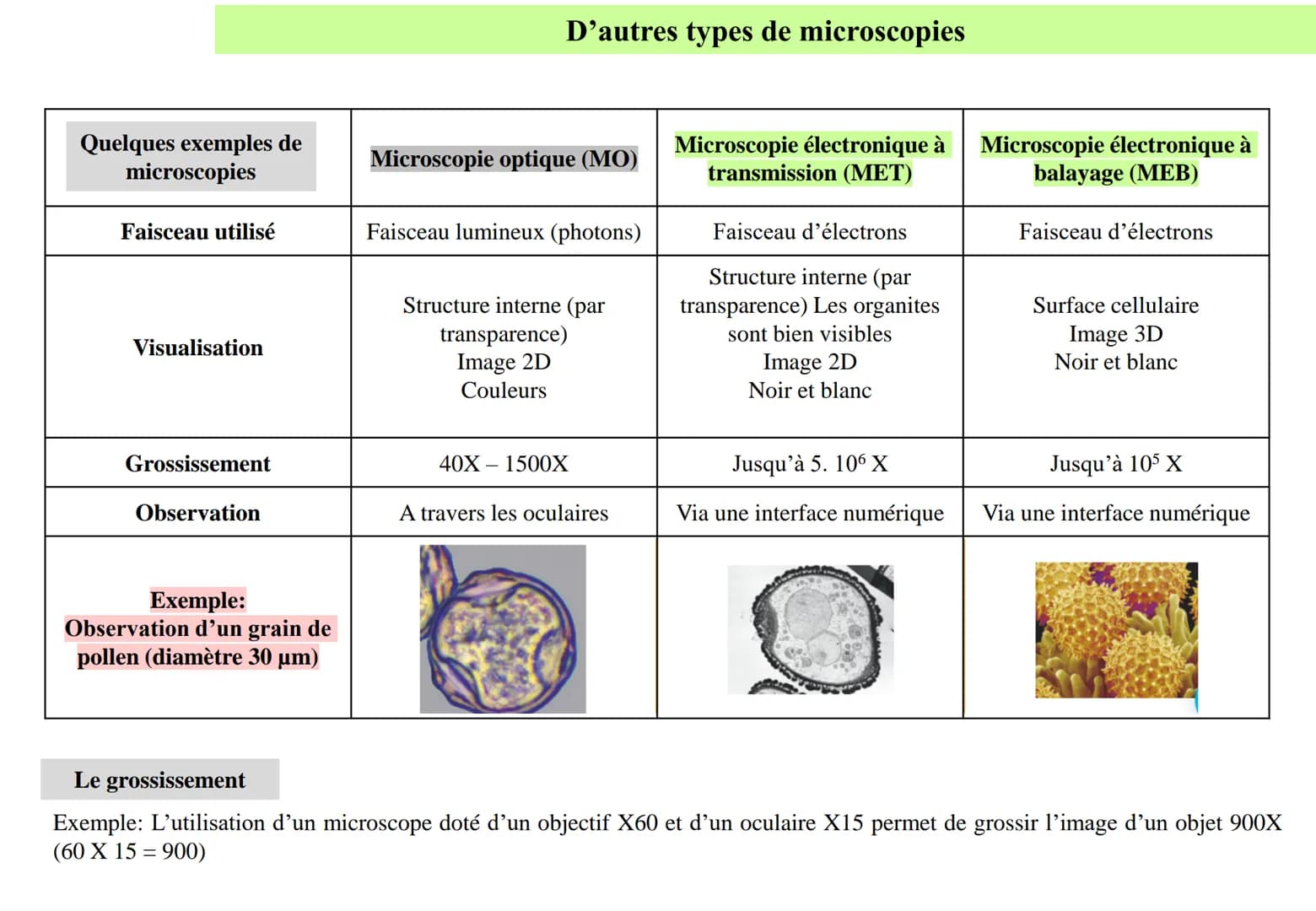 Fiche méthode
La microscopie optique (ou photonique)
Le microscope permet d'observer l'organisation d'un objet très fin. Cette finesse laiss
