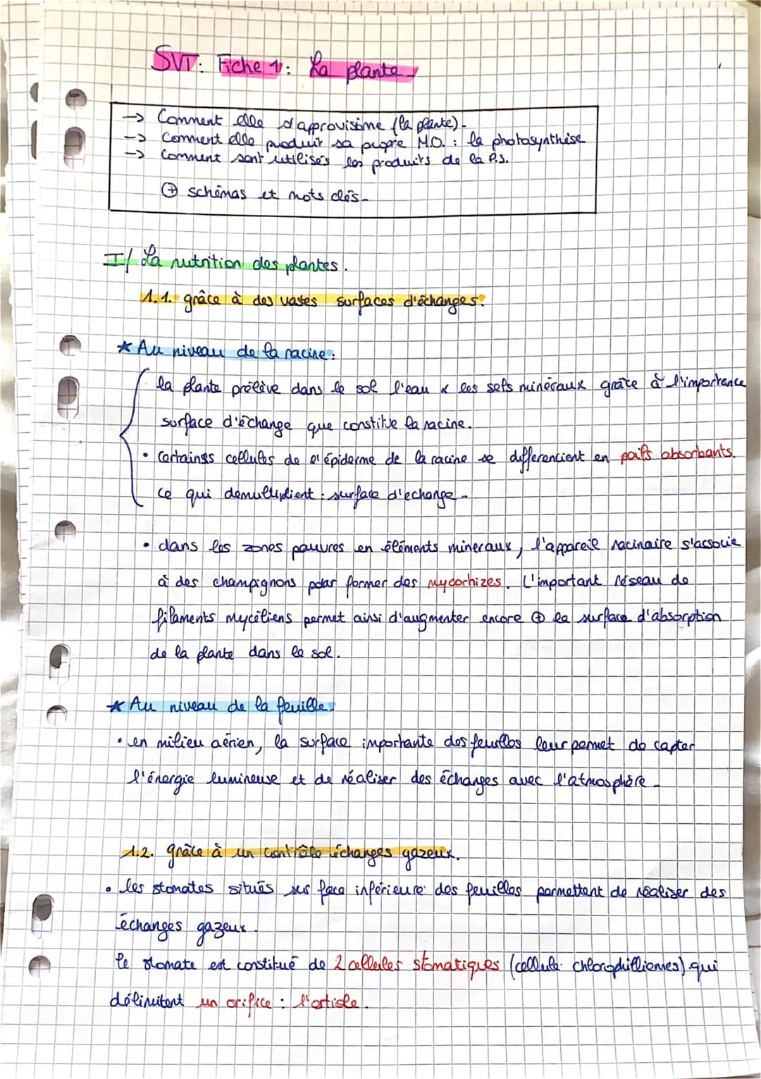 SVT: Fiche 11: La plante.
-> Comment elle s'approvisime (la plante).
Comment elle produit sa propre M.O.: la photosynthèse
Comment sent util