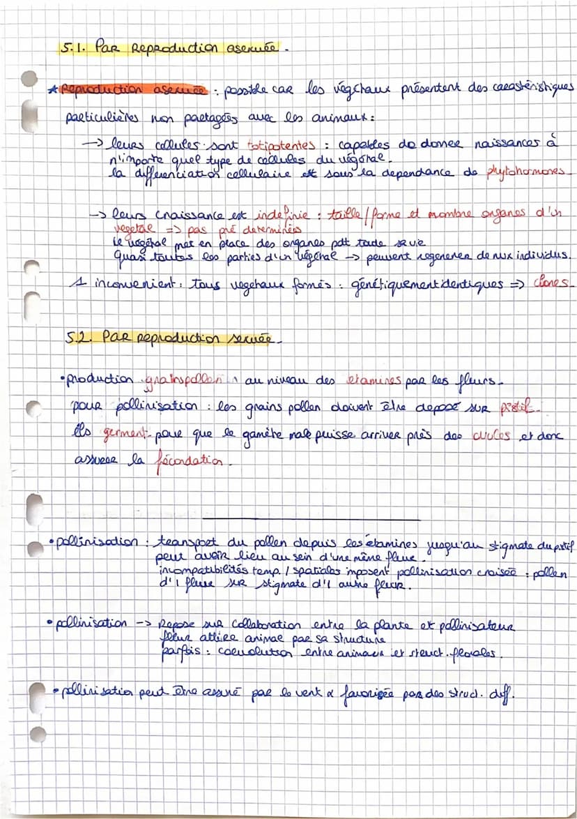 SVT: Fiche 11: La plante.
-> Comment elle s'approvisime (la plante).
Comment elle produit sa propre M.O.: la photosynthèse
Comment sent util