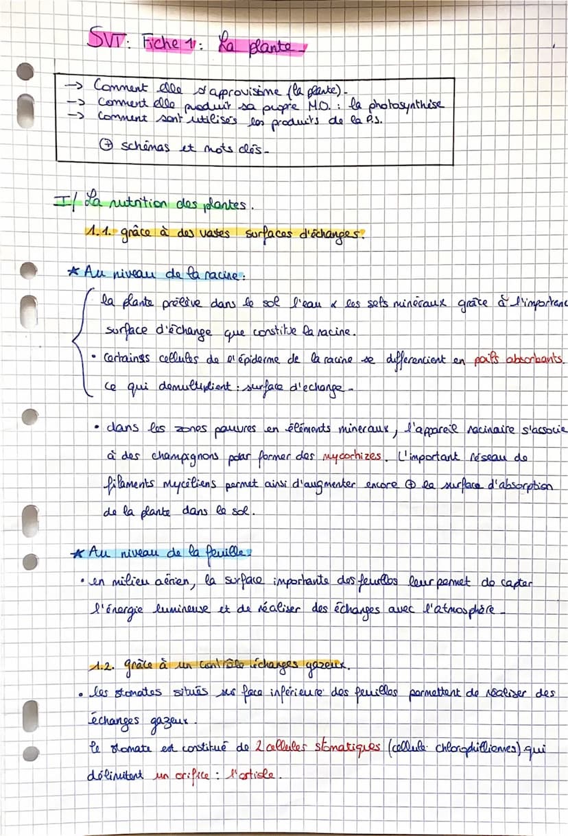 SVT: Fiche 11: La plante.
-> Comment elle s'approvisime (la plante).
Comment elle produit sa propre M.O.: la photosynthèse
Comment sent util