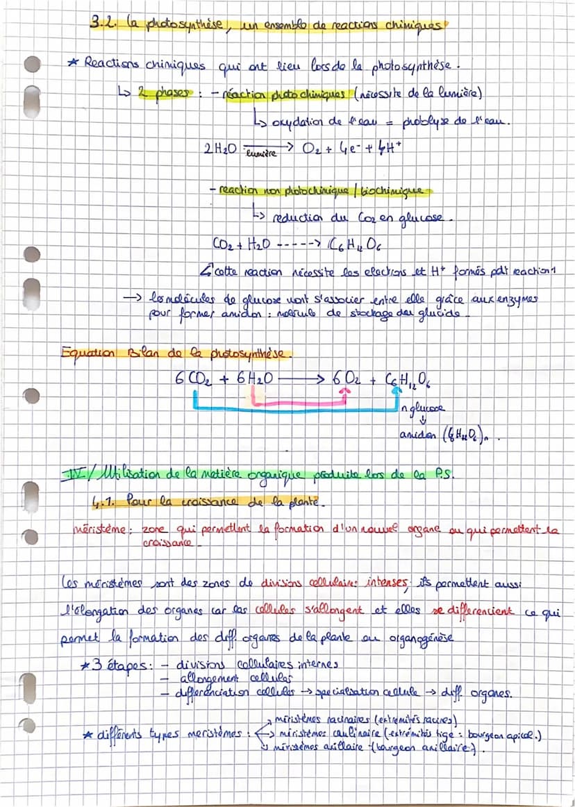 SVT: Fiche 11: La plante.
-> Comment elle s'approvisime (la plante).
Comment elle produit sa propre M.O.: la photosynthèse
Comment sent util