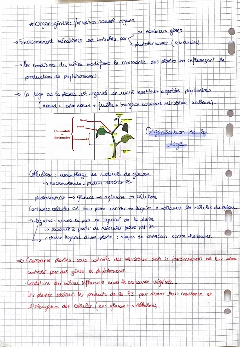 SVT: Fiche 11: La plante.
-> Comment elle s'approvisime (la plante).
Comment elle produit sa propre M.O.: la photosynthèse
Comment sent util