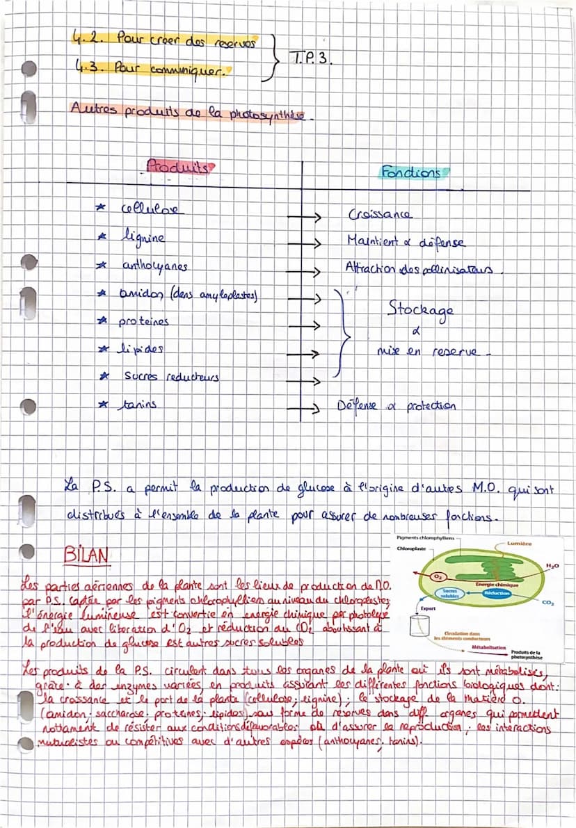 SVT: Fiche 11: La plante.
-> Comment elle s'approvisime (la plante).
Comment elle produit sa propre M.O.: la photosynthèse
Comment sent util
