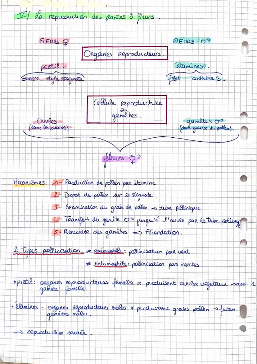 SVT: Fiche 11: La plante.
-> Comment elle s'approvisime (la plante).
Comment elle produit sa propre M.O.: la photosynthèse
Comment sent util
