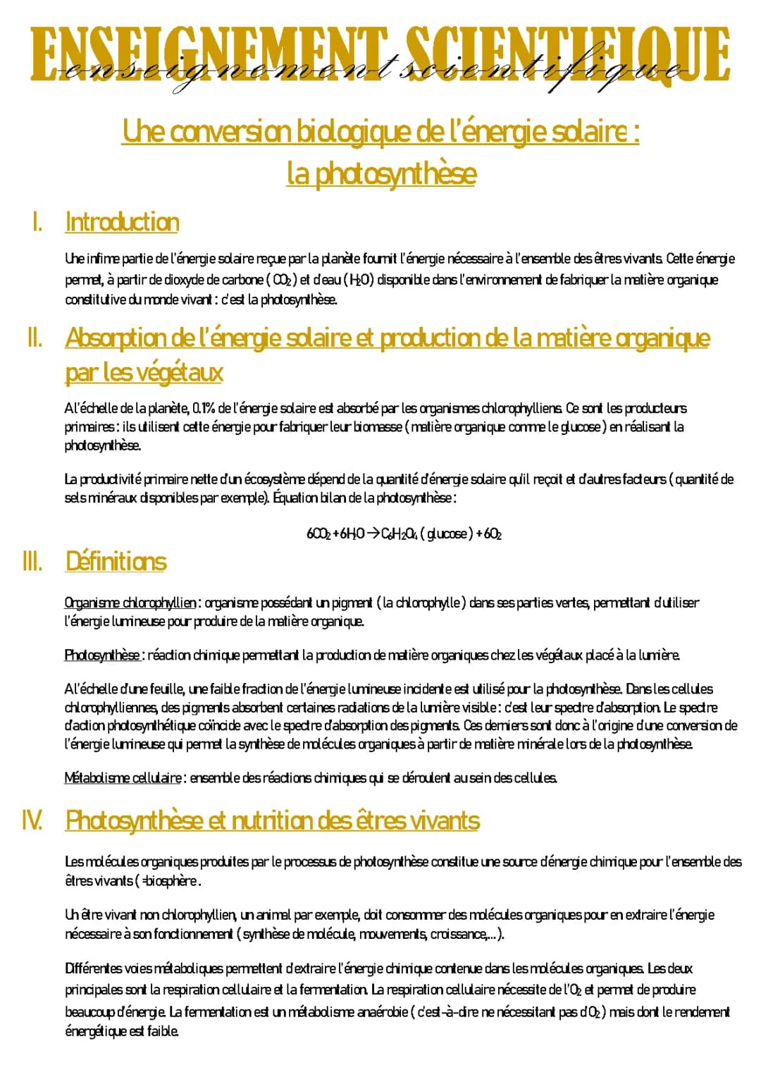 La photosynthèse : Explication simple et Schéma