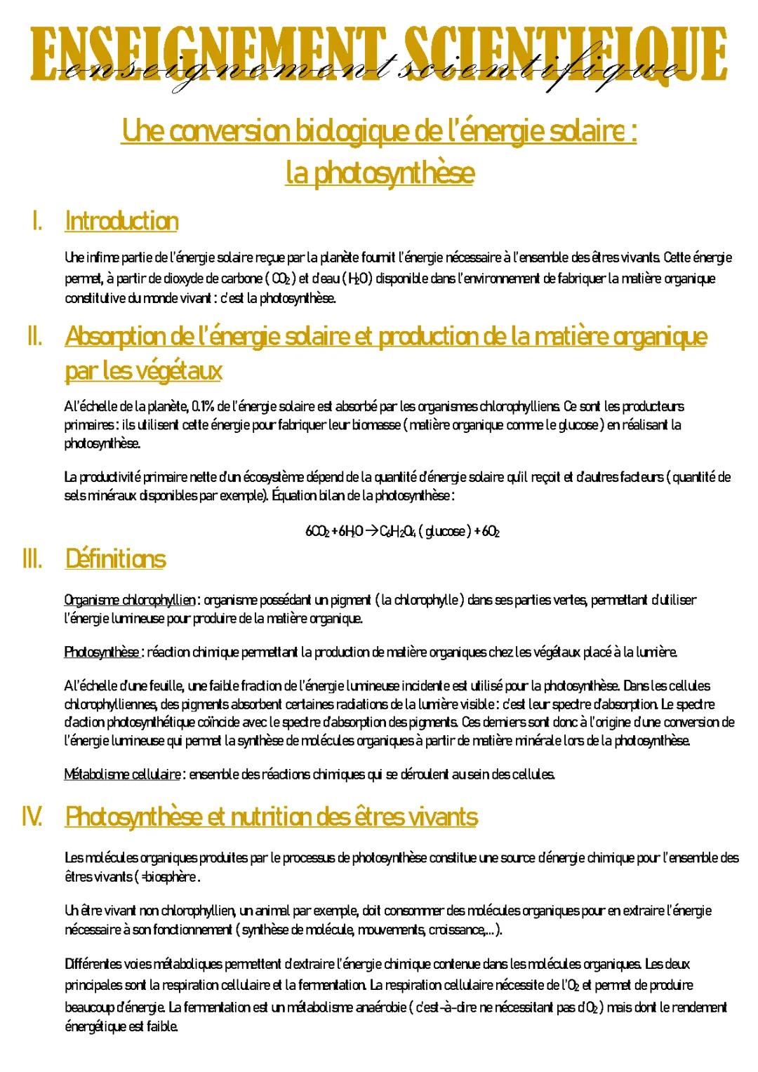 La photosynthèse : Explication simple et Schéma