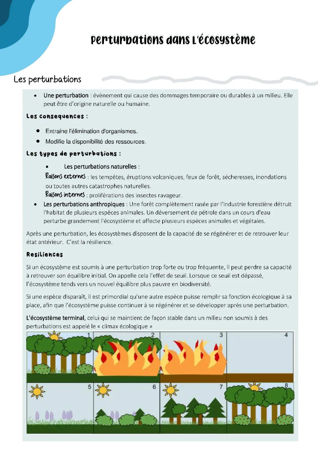 Exemple de Perturbation de l'Écosystème - Pourquoi et Comment Ça Change