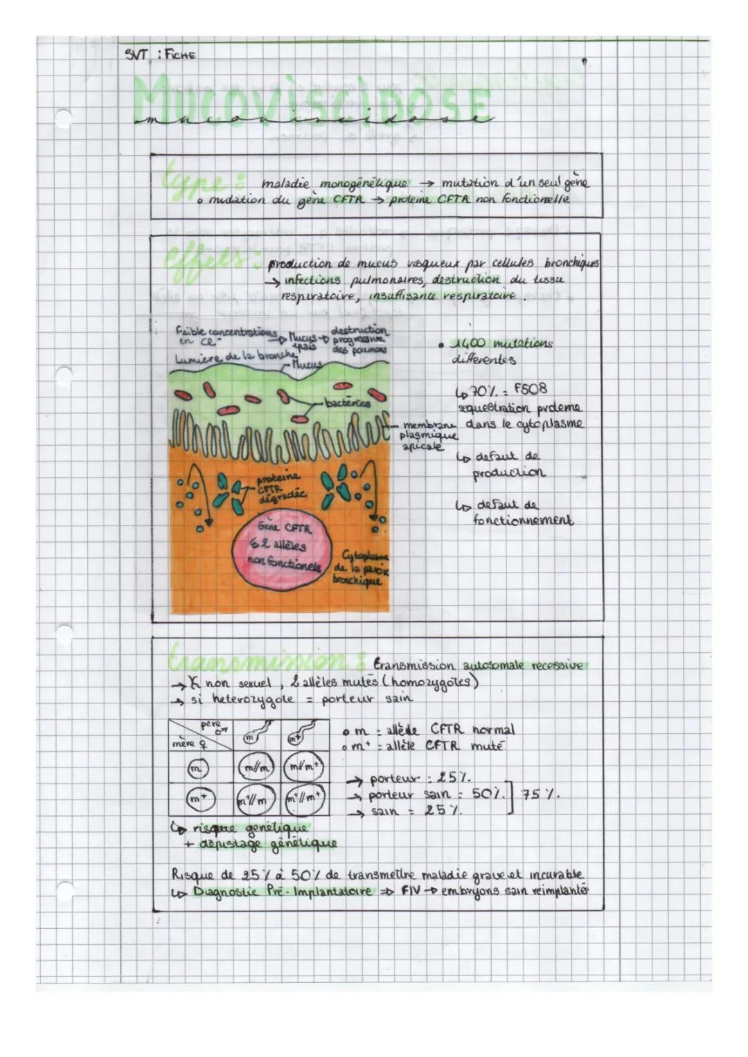 Tout savoir sur le gène CFTR et les maladies génétiques