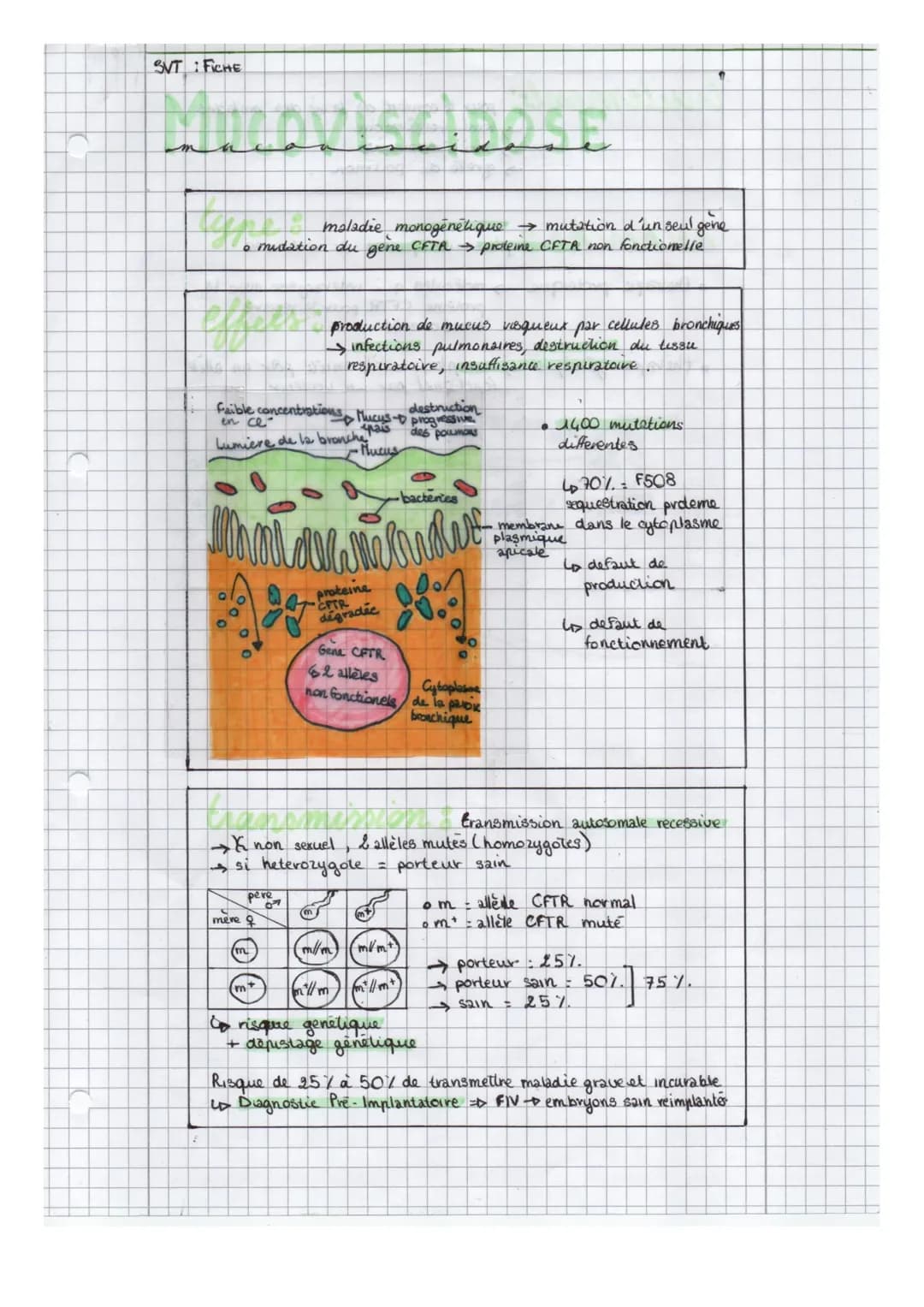 SVT: FICHE
m
AVÍSARASE
maladie monogénétique → mutation d'un seul gene
。 mutation du gene CFTR → proteine CFTA non fonctionelle
Faible conce