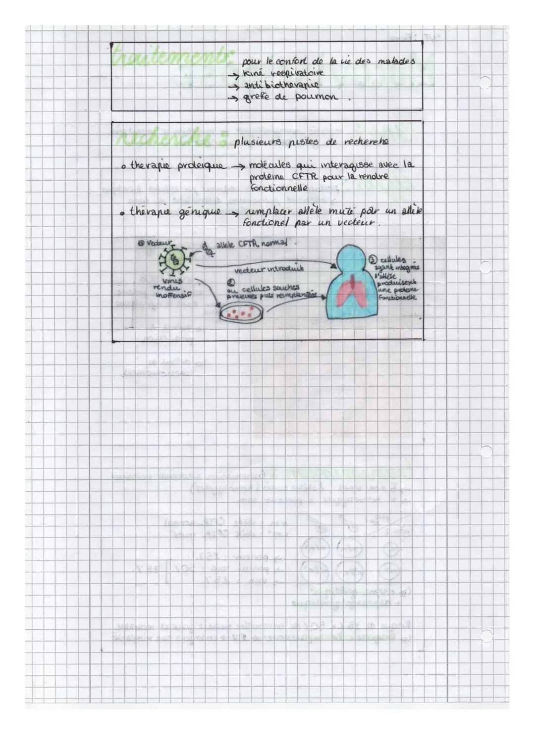 SVT: FICHE
m
AVÍSARASE
maladie monogénétique → mutation d'un seul gene
。 mutation du gene CFTR → proteine CFTA non fonctionelle
Faible conce