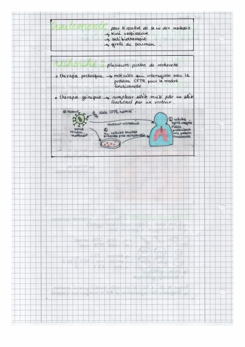 SVT: FICHE
m
AVÍSARASE
maladie monogénétique → mutation d'un seul gene
。 mutation du gene CFTR → proteine CFTA non fonctionelle
Faible conce