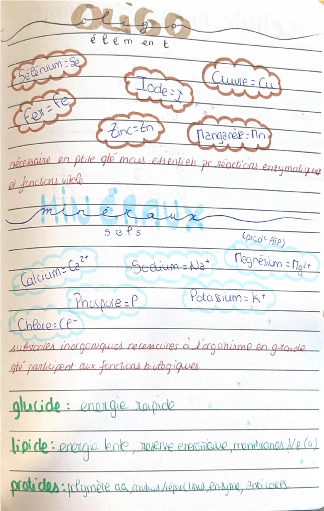 # TISSUS HUMAIN

EPITHELIAL
*   Role: Protection, secretion, absoption

CONJONCTIfeve Nourir, Saulenir-relie-Picdigestious

Stocke l'energie
