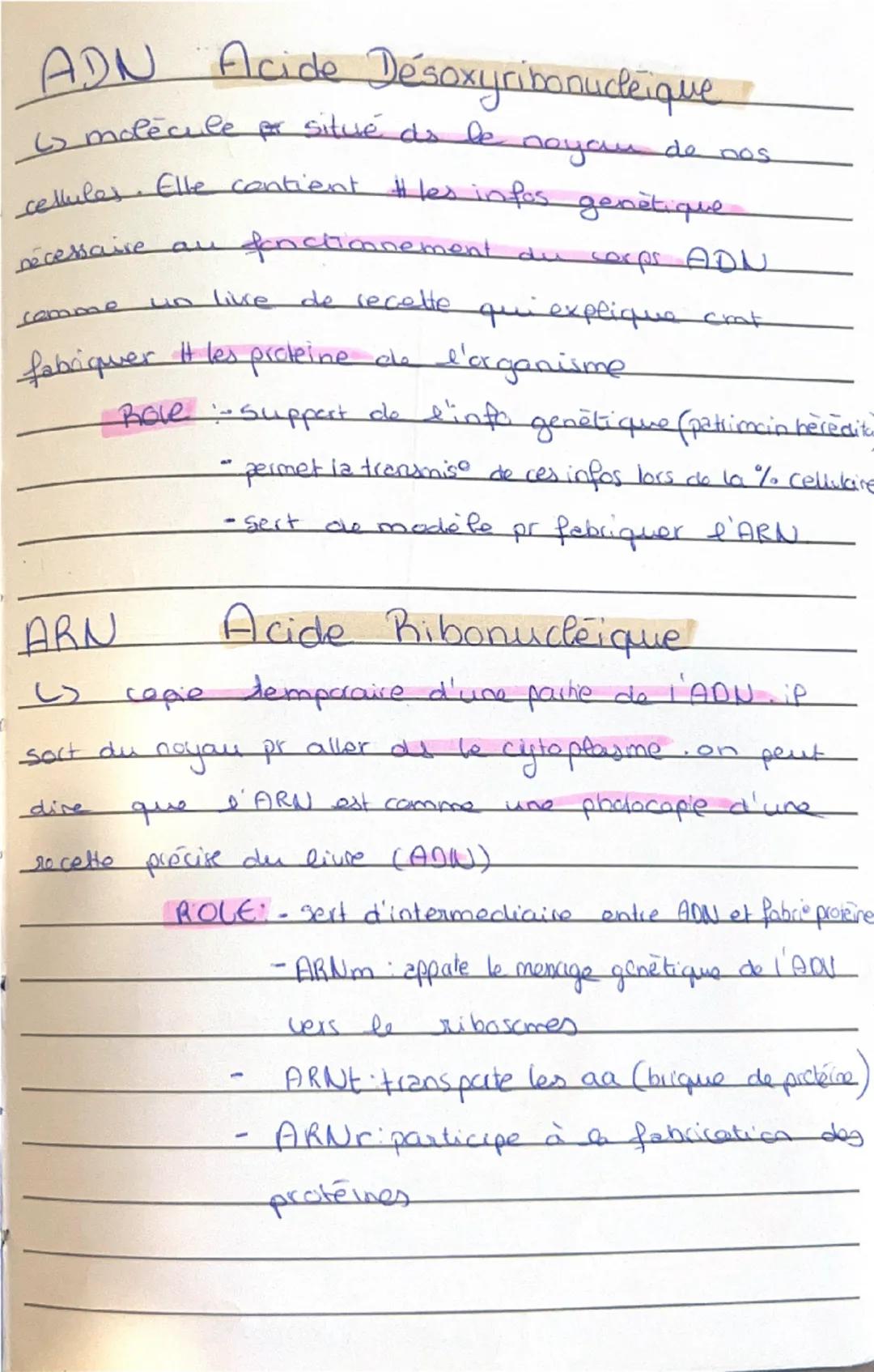 # TISSUS HUMAIN

EPITHELIAL
*   Role: Protection, secretion, absoption

CONJONCTIfeve Nourir, Saulenir-relie-Picdigestious

Stocke l'energie