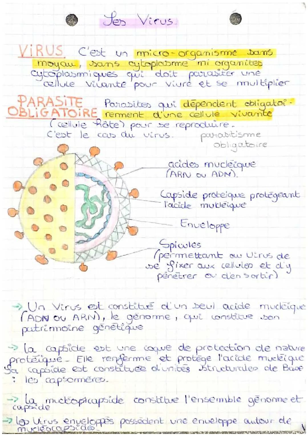 Fiche Révision Bac Pro ASSP Biologie - Les Virus PDF