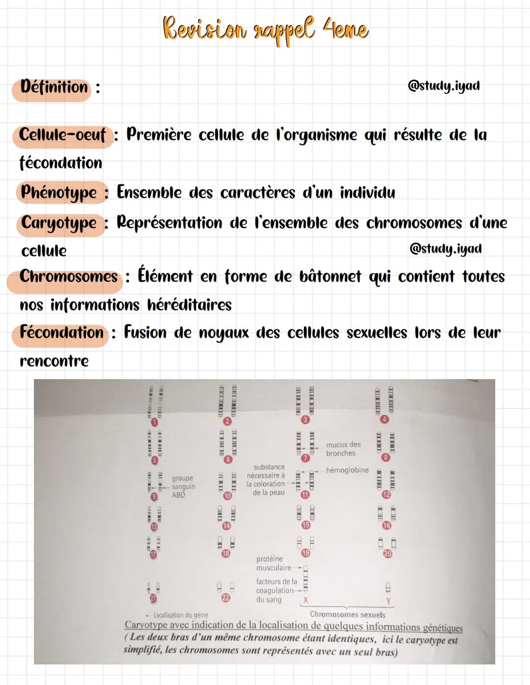 Définition :
Revision rappel 4eme
Cellule-oeuf : Première cellule de l'organisme qui résulte de la
fécondation
Phénotype : Ensemble des cara