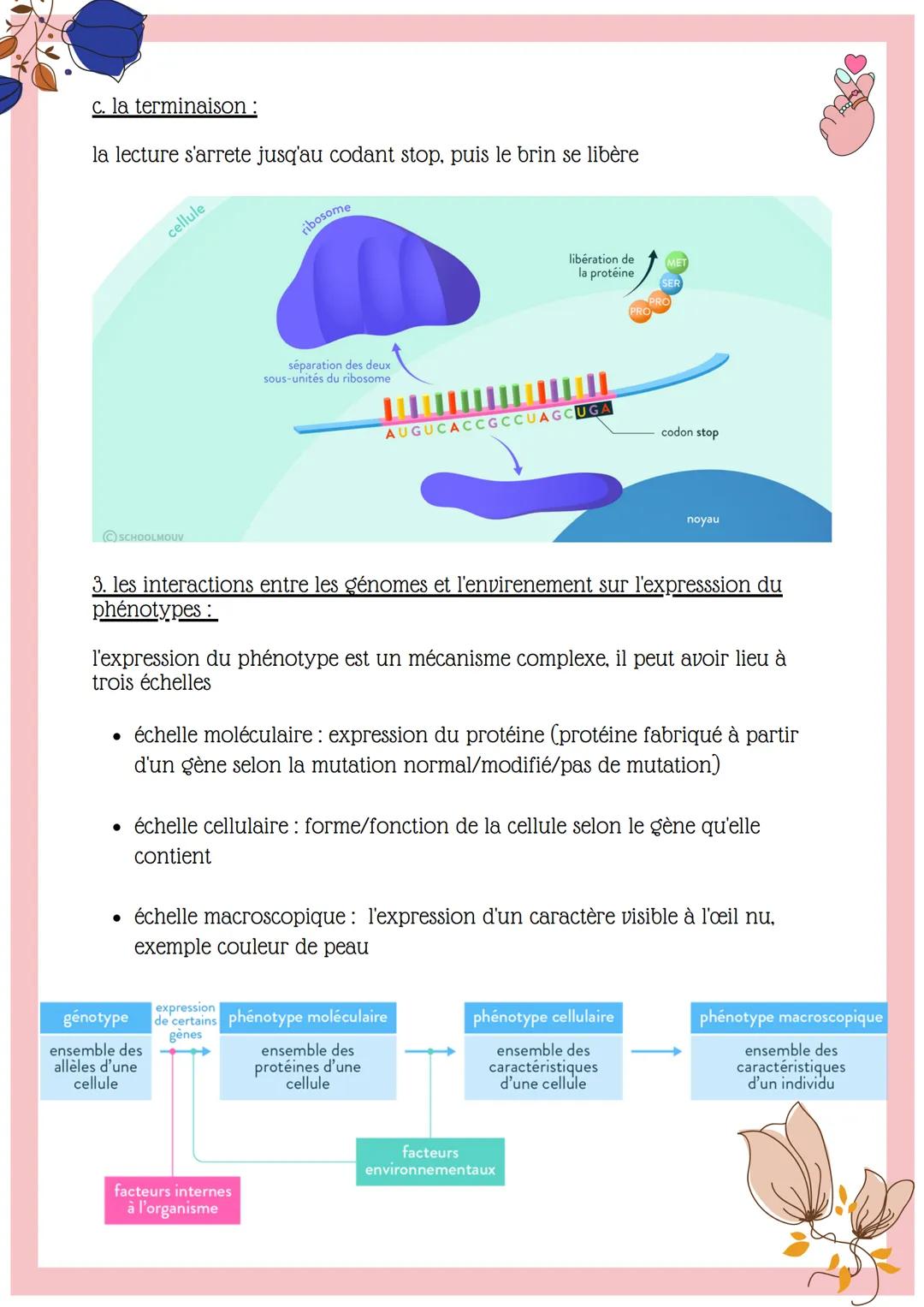 SCIENCE
l'expression de
patrimoine génitique
PART.A refever
Gene: une portion d'adn défini par l'ordre des
валец
Proteine: macromolécule, co