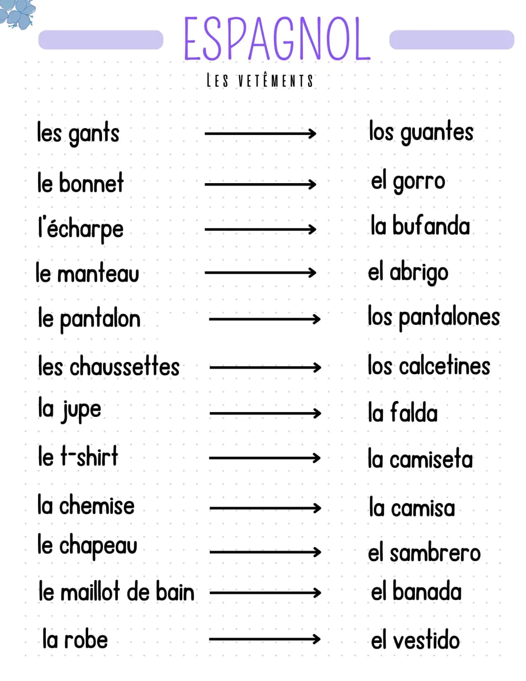 VÊTEMENTS 
