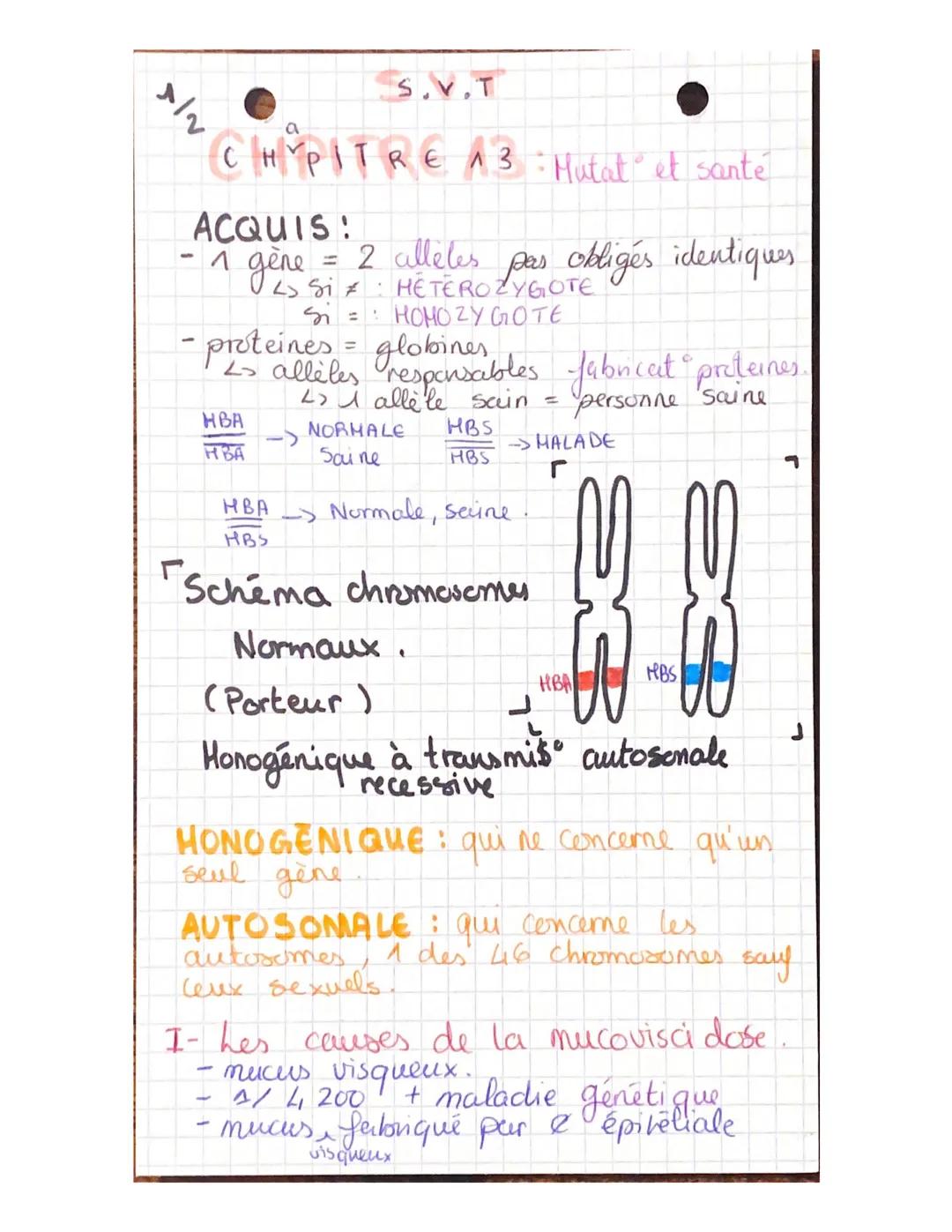 S.V.T

2

a
CHYPITRE 13: Mutat et santé.

ACQUIS!

-4

- 1 gene = 2 alleles pas obligés identiques

Si $\neq$: HETEROZYGOTE

Si = HOMOZYGOTE
