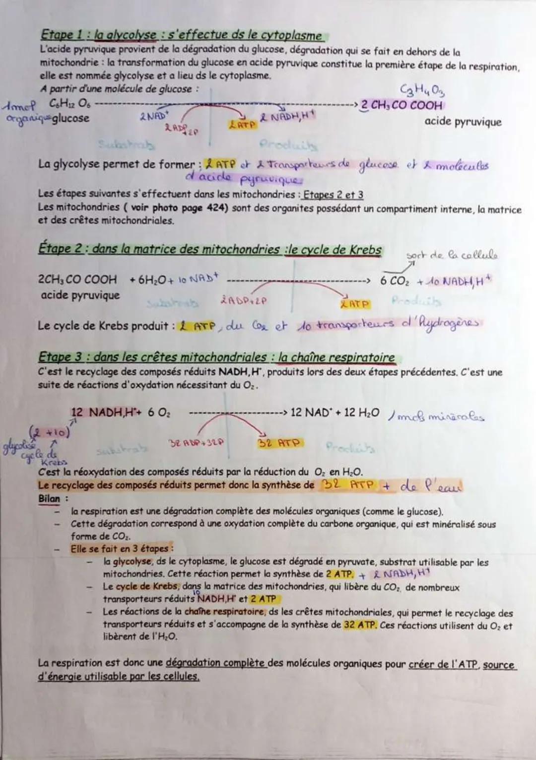 # L'origine
de P'ATP

ATP (adenosine triphosphate)
1> forme d'énergie utilisé par les collules

d'hydrolyse de P'ATP

ATP + H2O → ADP+P
libé