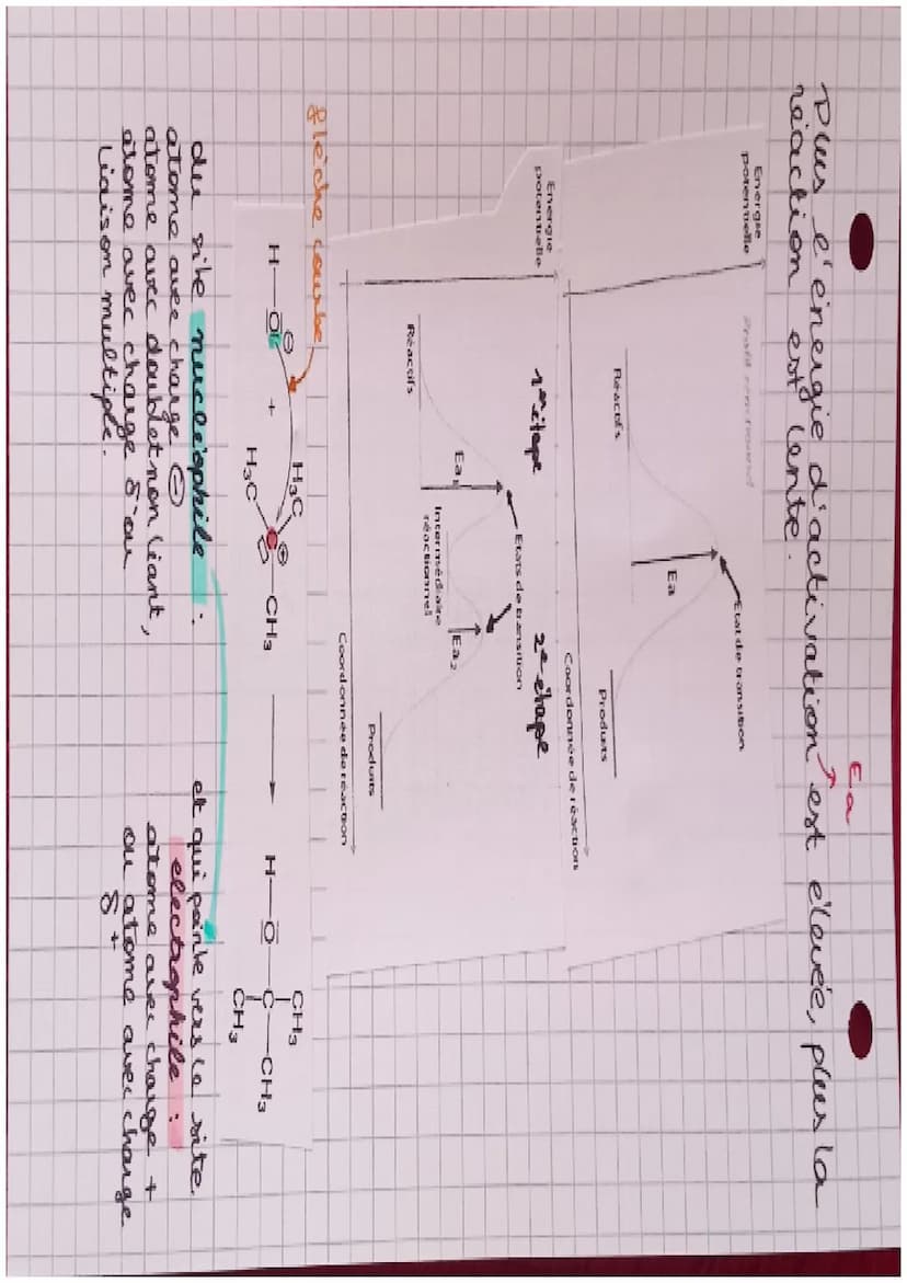 spel
Nucleophilie: capacité a donner des électrons
Electrophilie: capacité a accepter des électrons
Les principales catégories de reactions 