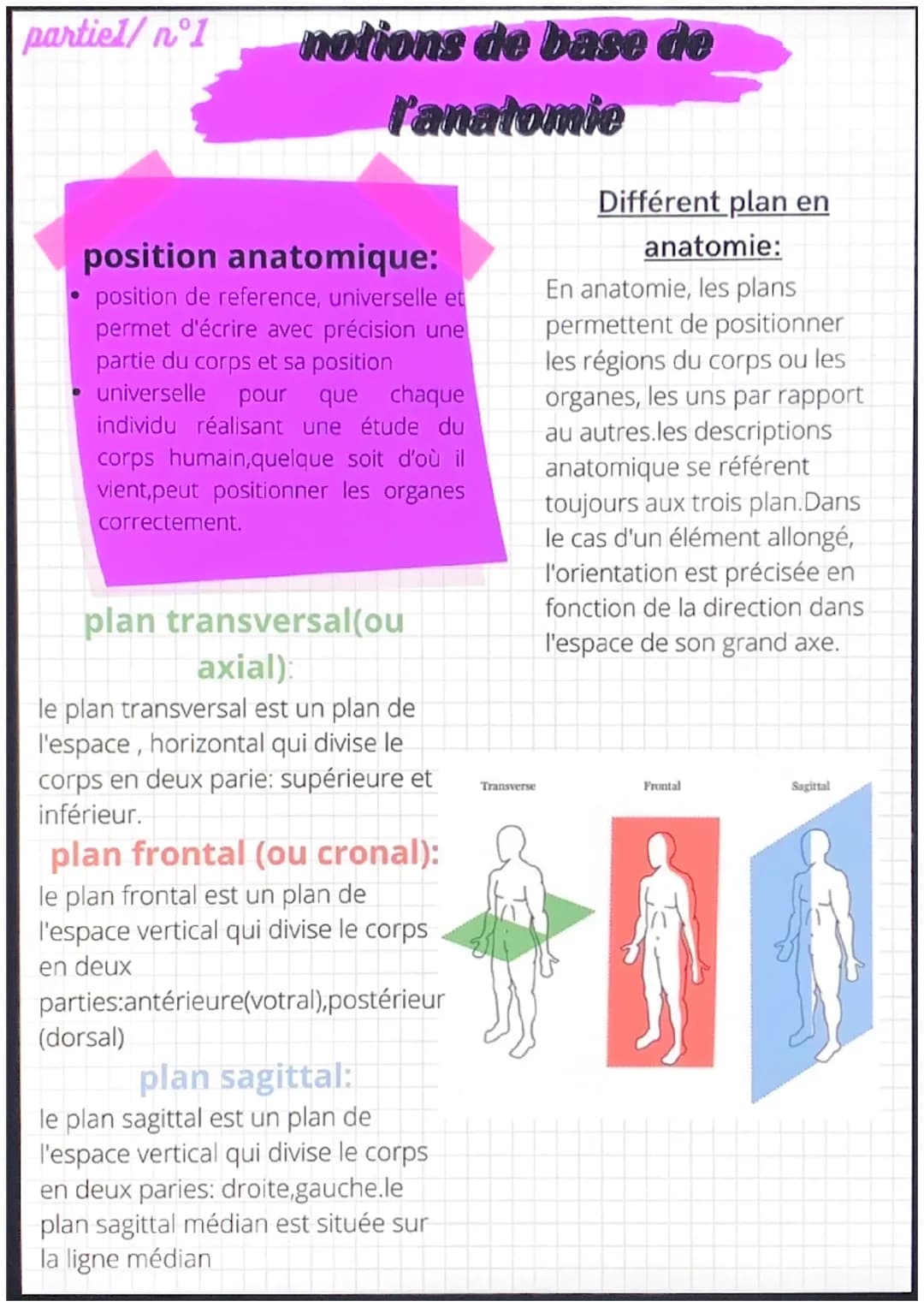 partiel/nᵒ1
notions de base de
l'anatomie
position anatomique:
position de reference, universelle et
permet d'écrire avec précision une
part